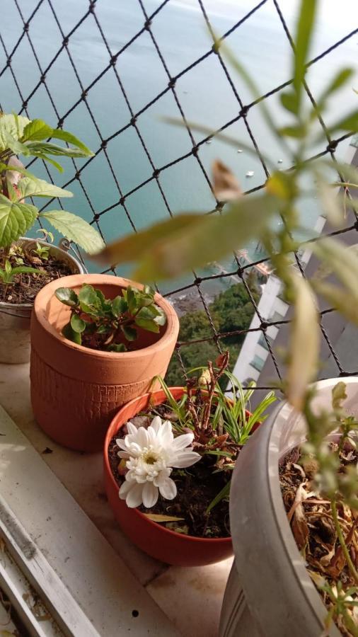 Apartamento Vitoria Vista Ao Mar Casa de hóspedes